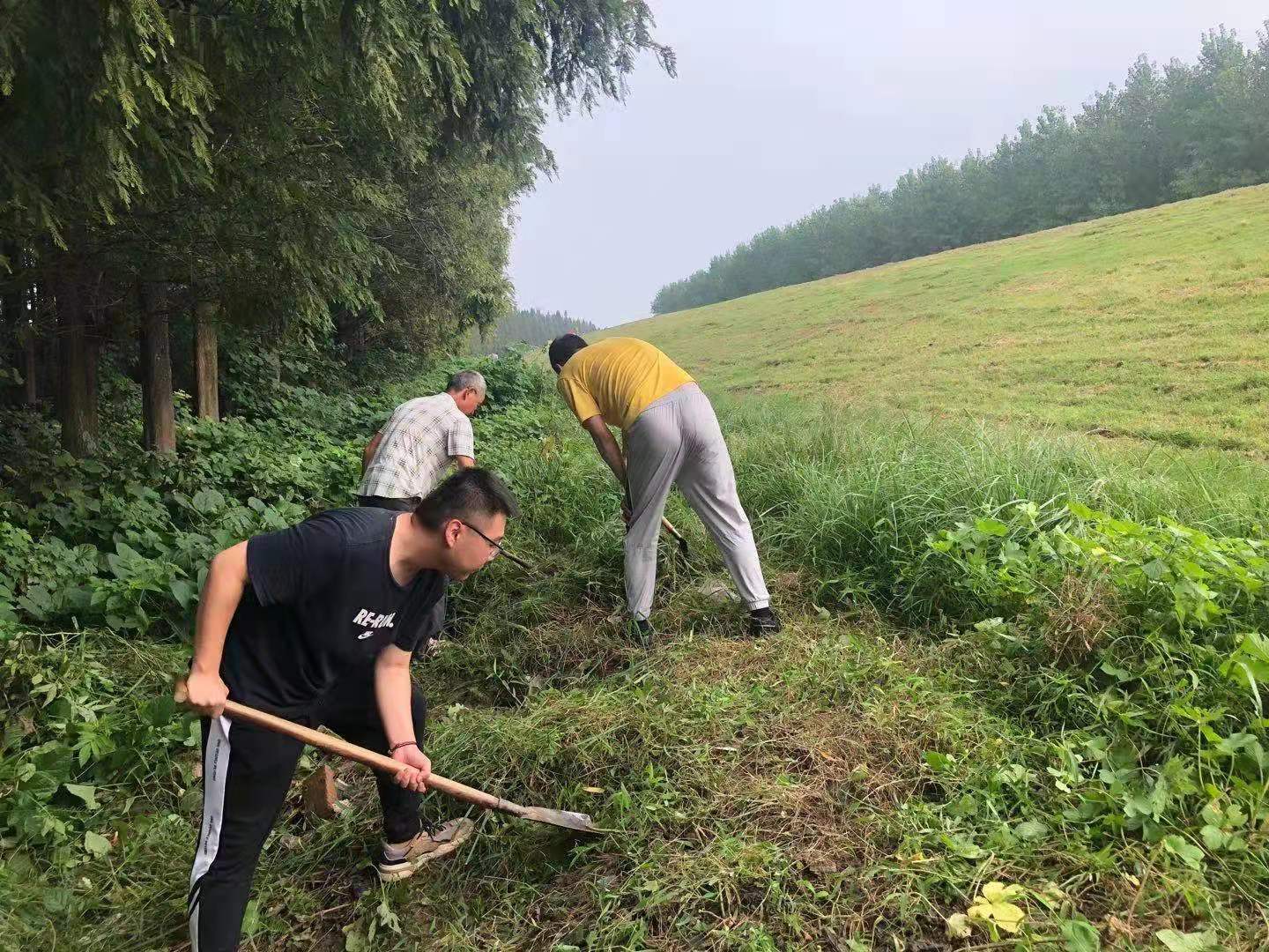浩口镇：打响防汛新攻势，筑牢安全防护墙