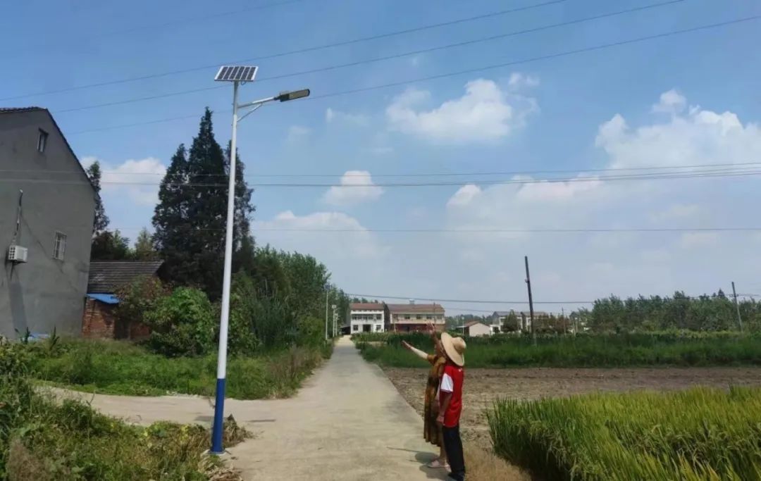 市供销合作社：亮化工程暖人心 照亮乡村振兴路