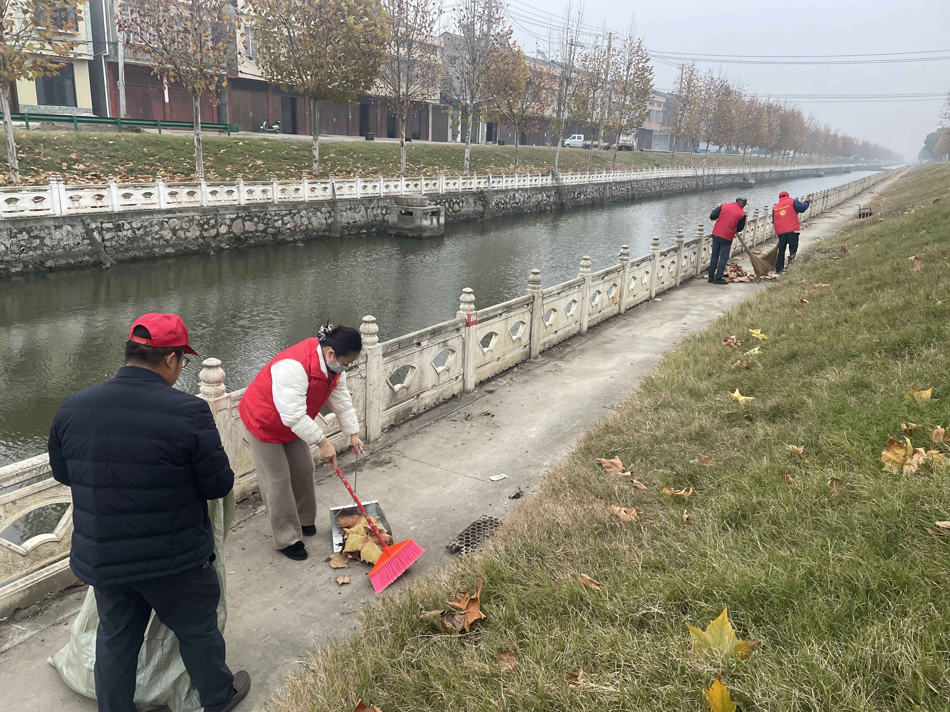 白鹭湖管理区全面发力“清洁家园” 绘就生态宜居新画卷