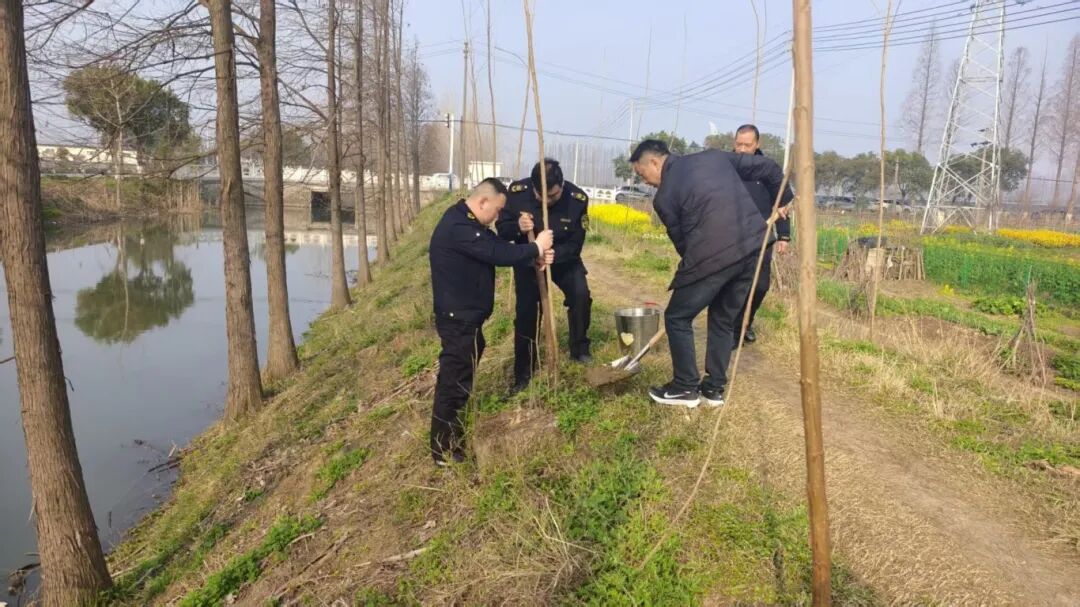 广华寺街道开展义务植树活动