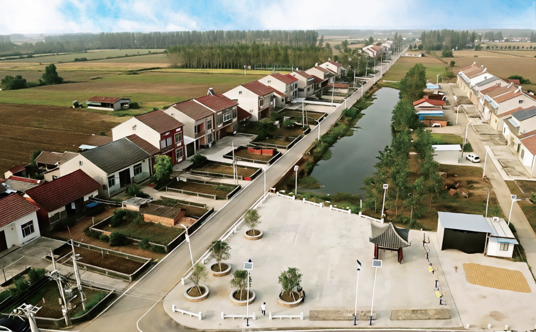 党建领航 聚势赋能 | 擘画乡村振兴“绿富美强”新画卷