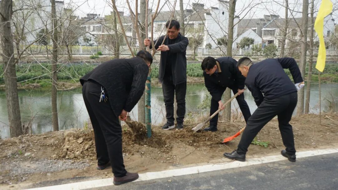 植绿添新景 春风润乡村 | 高石碑镇开展义务植树活动