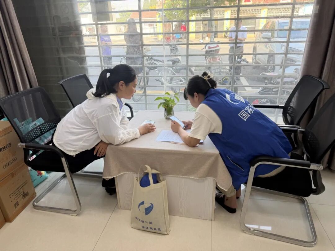 算清时间账 规划好生活 | 国家统计局湖北调查总队深入高石碑镇开展“全国时间利用调查”