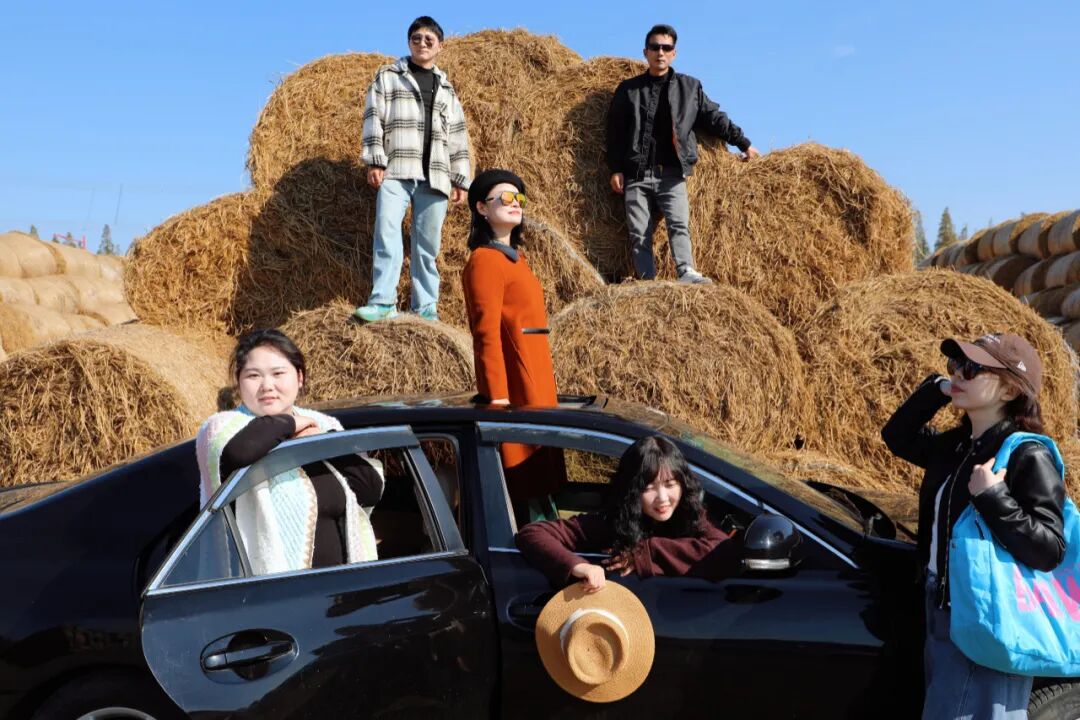 秸秆“瑞士卷”走红 后湖农旅融合绘就新图景