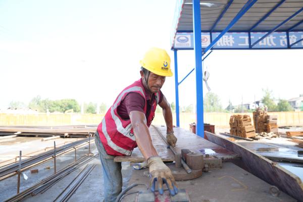 龙湾镇农业产业园建设火热