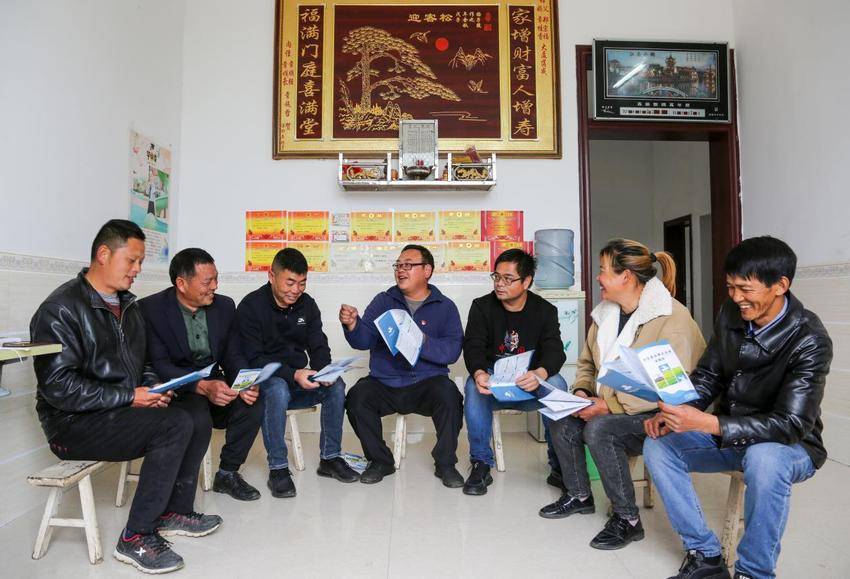 潜江市龙湾镇“四季有虾”示范田 奏响稻虾共生致富曲