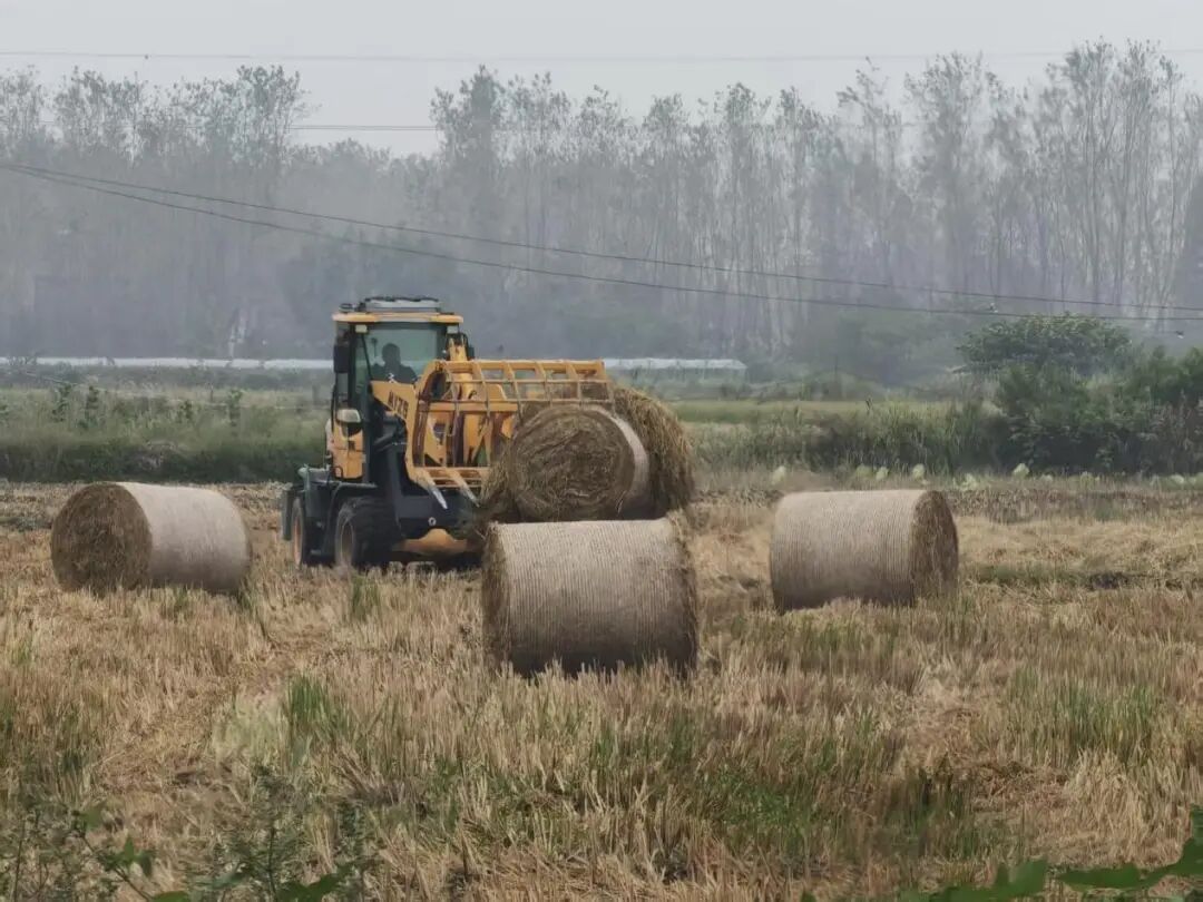 老新镇推进秸秆回收利用 实现生态经济效益双提升
