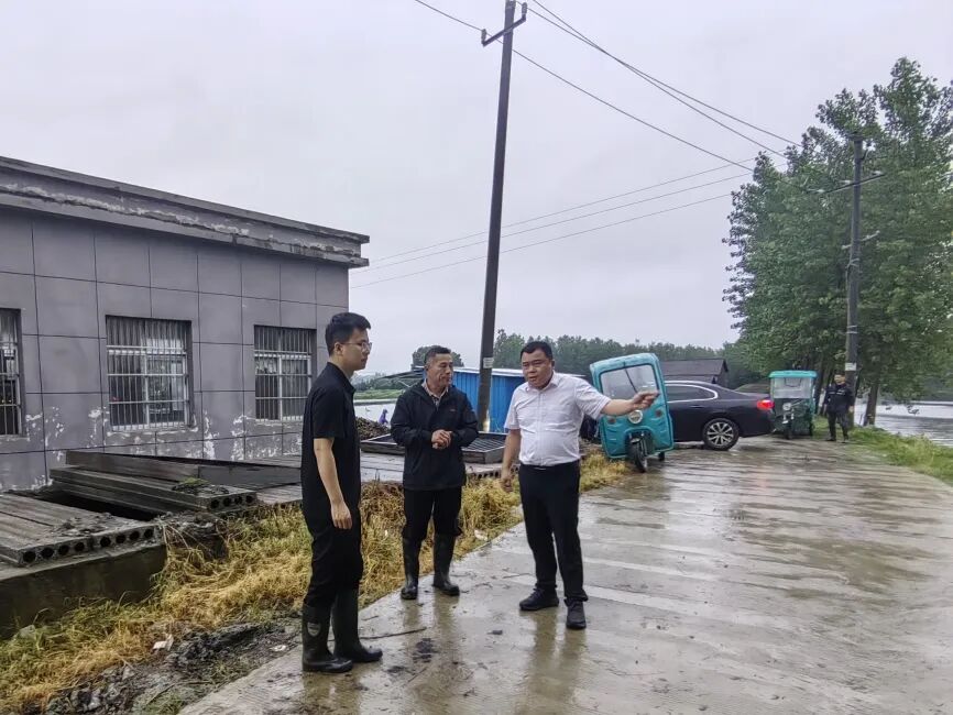 闻汛而动 向水而行——老新镇昼夜奋战防汛一线