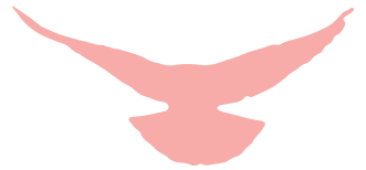 ""' ""
