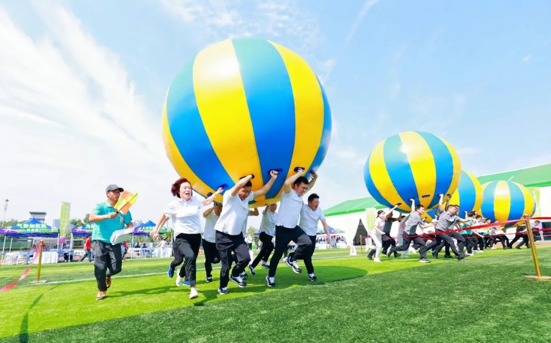 6402.webp.jpg ""