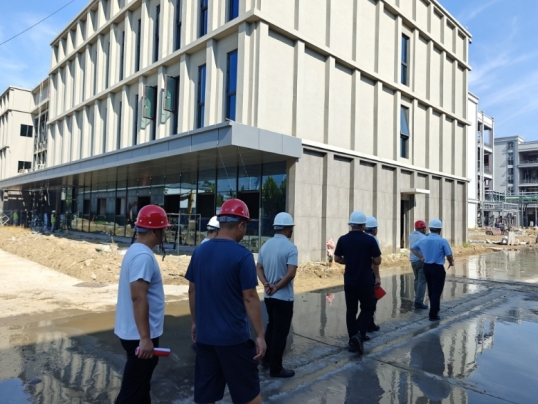 镇人大代表团调研江汉盐化工业园电子化学品产业