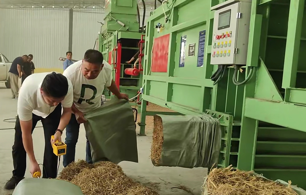 熊口管理区：圻蔓能源秸秆综合利用项目 顺利投产运营