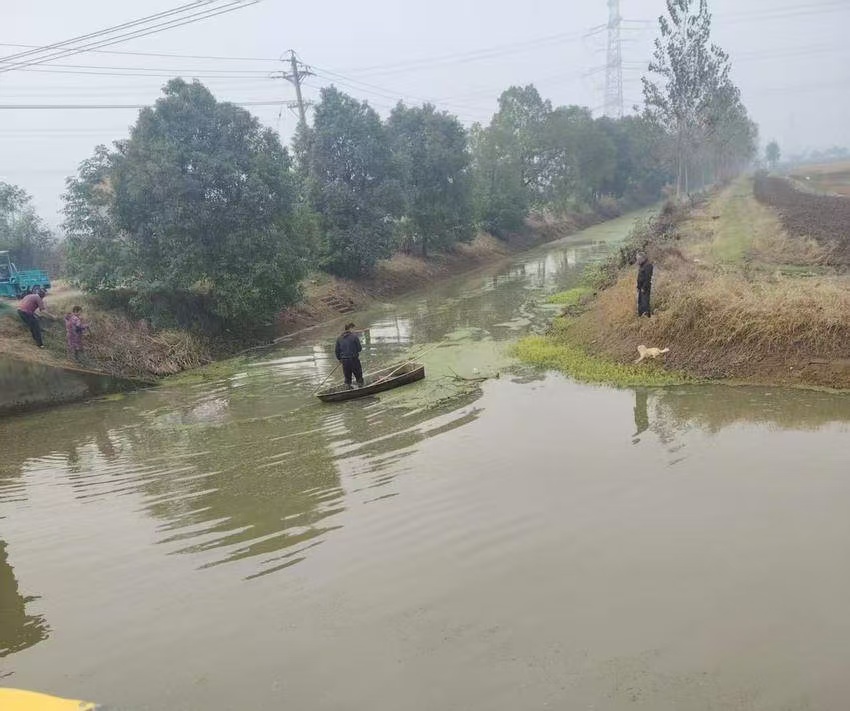 熊口管理区：以监督护航龙湖河道治理见实效