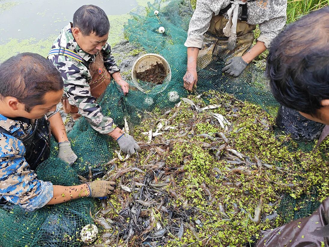 熊口管理区：干部争当“土专家”引领群众增收