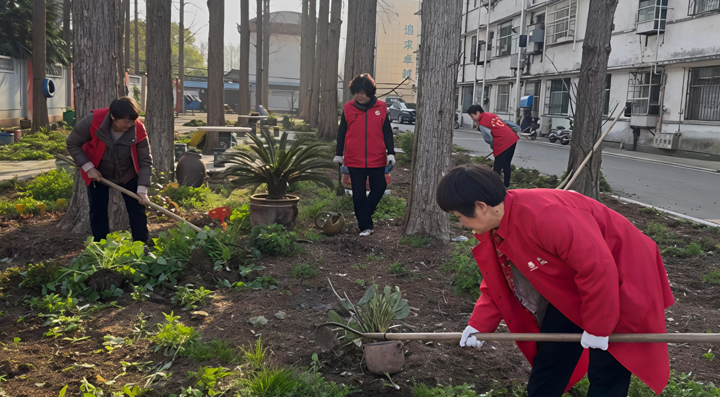 熊口管理区：播撒花籽扮春色 为“满城芳华”注入乡村韵味