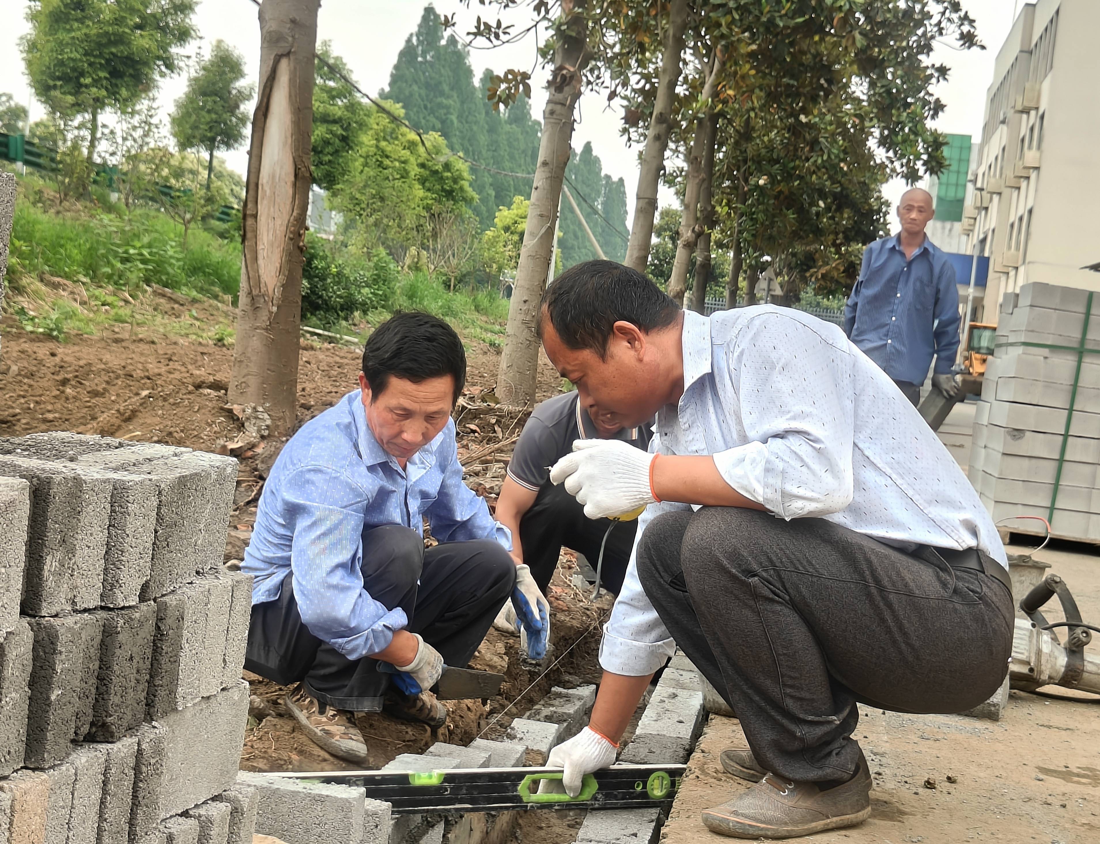 熊口管理区：整治私垦菜地 改造小区公共空间
