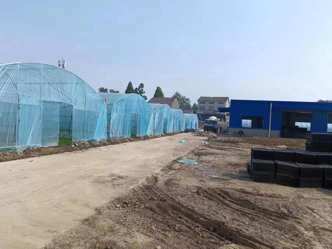 开元棋牌- 开元棋牌官方网站- 开元棋牌APP下载招商行业领先混合A