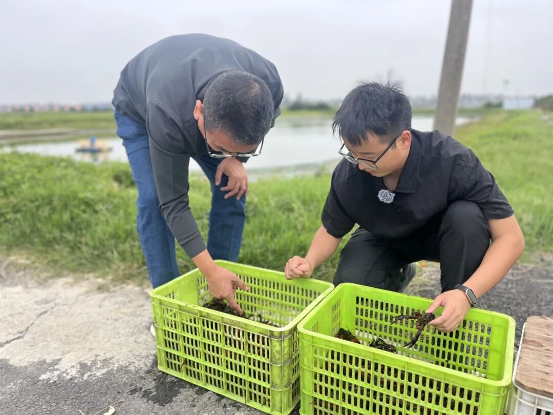 潜江正点亮科技之光(图3)