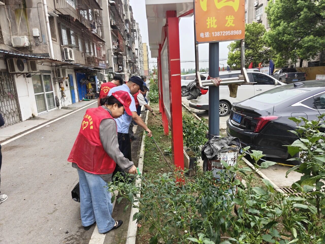 微信图片_2026-08-24_122939_596.jpg