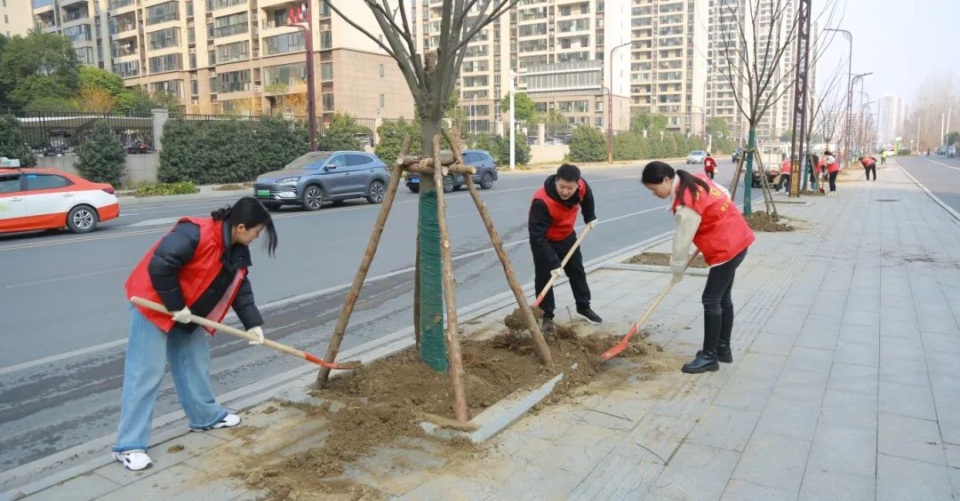 【植绿护绿·共筑生态家园】——市城市管理执法局团委开展植树节志愿服务活动