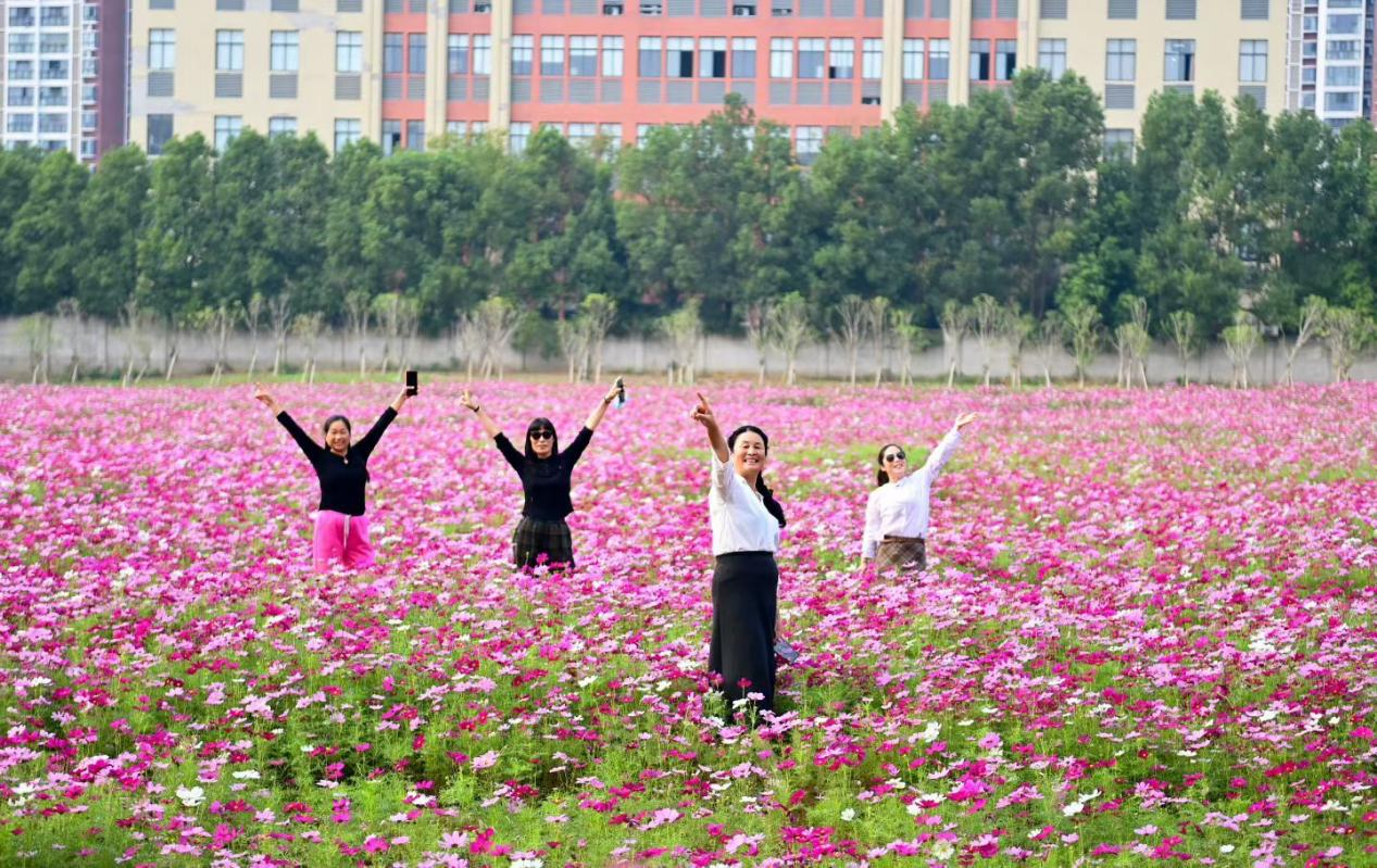 潜江：“绣花功夫”绣出“满城芳华”