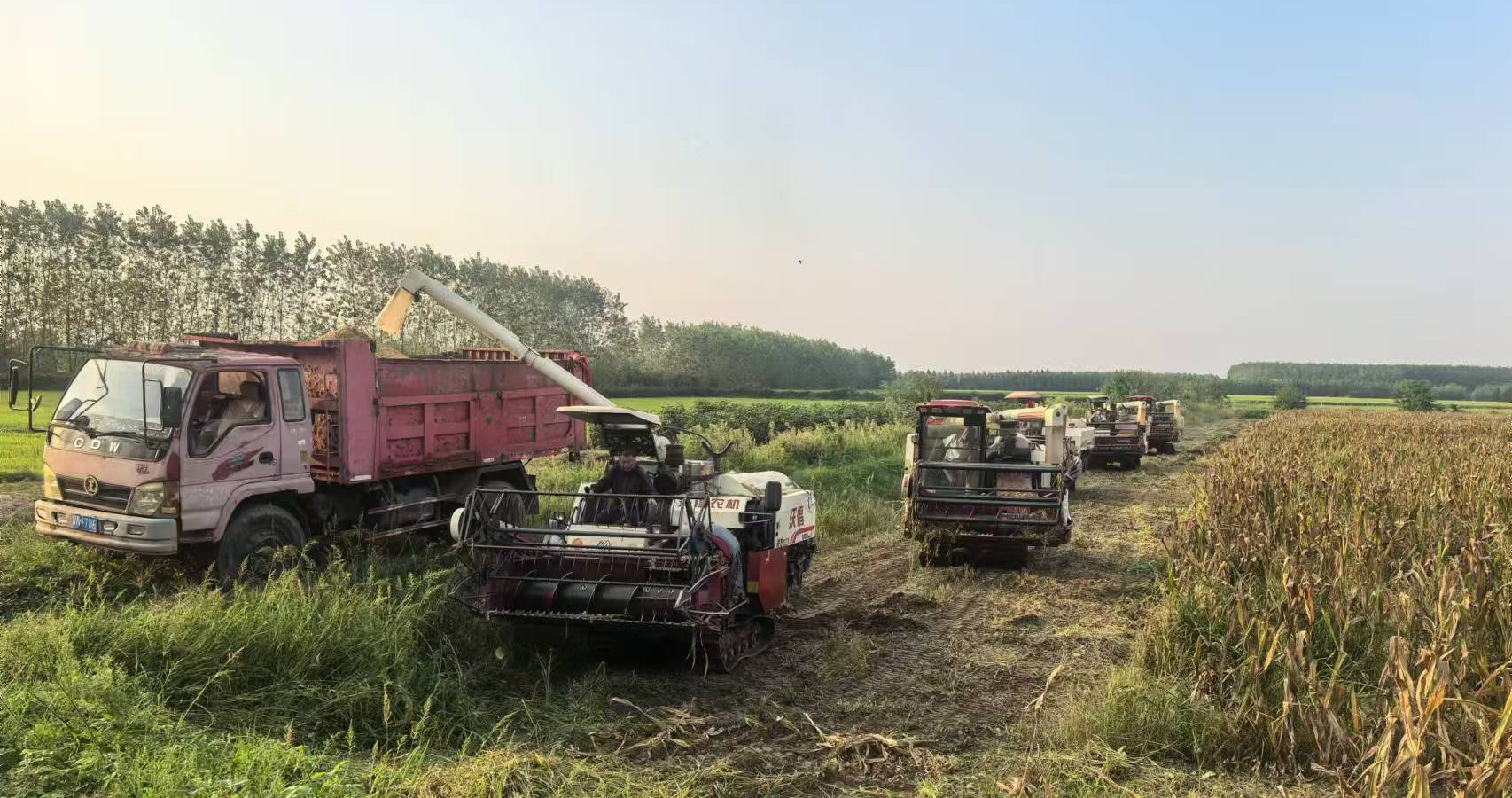 担当农业社会化服务“国家队”