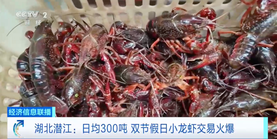 太火爆！日均交易近300吨！