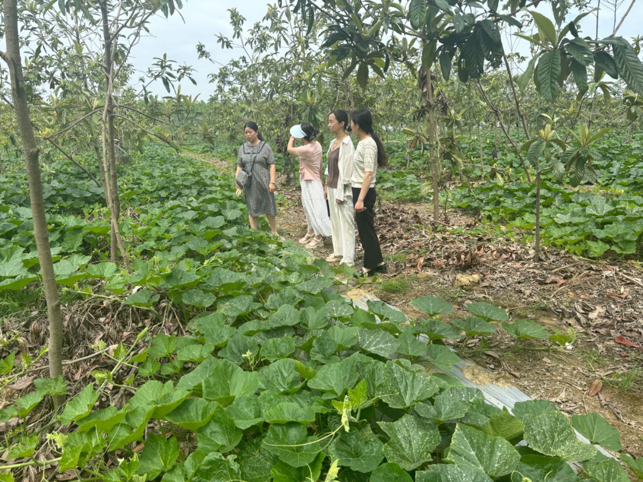 潜江审计：关注征地拆迁后资产管理情况