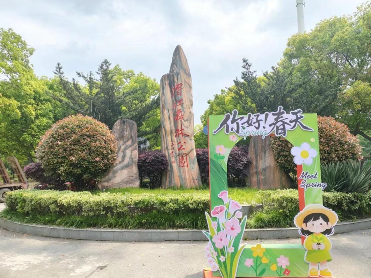 潜江森林公园：改造升级焕新颜  绿意盎然迎客来