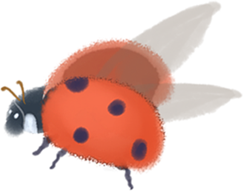 ""