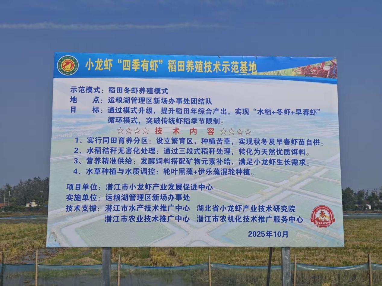 运粮湖管理区试水冬虾养殖