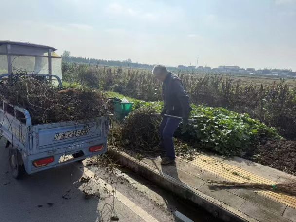 运粮湖管理区开展水域治理与公路清洁专项行动