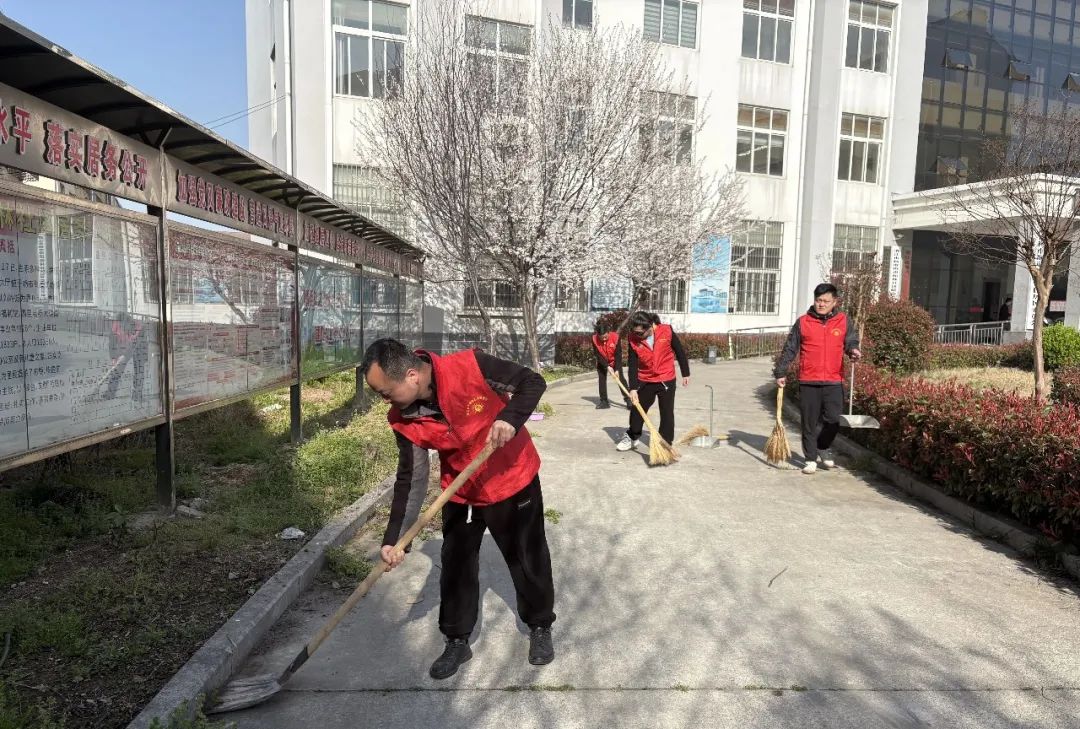 全民洁城 | 杨市街道“全民洁城”行动成效显著