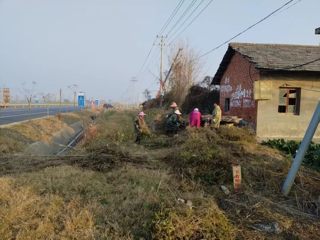 杨市街道：奏响“六清”攻坚曲，乡村面貌展新颜
