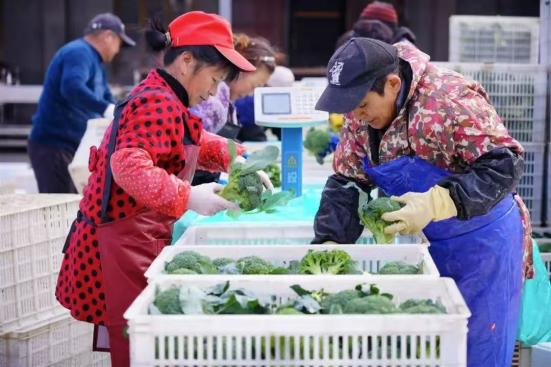 青春专场，公益助农：渔洋镇开展直播助农专场活动