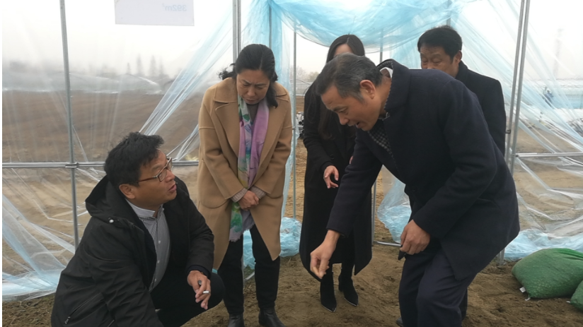 湖北省农业农村厅赴竹根滩镇调研半夏产业