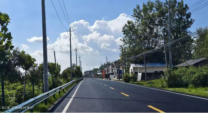 五年，这样练就“金”字招牌 ——看潜江市张金镇转型蝶变交出“十四五”精彩答卷