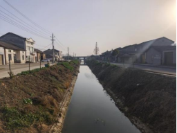 “六清+积分”双向发力 绘就宜居乡村新图景